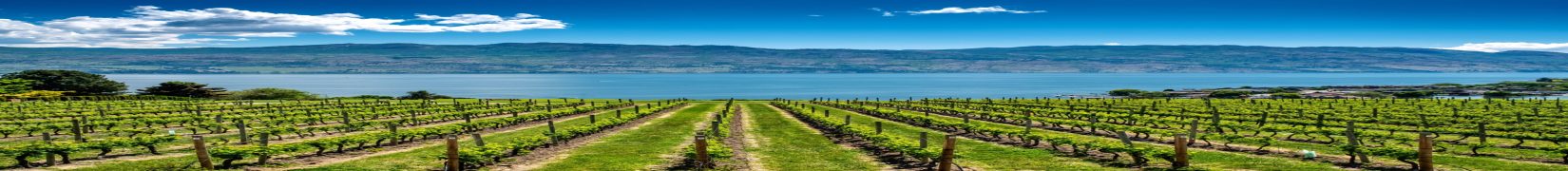 12 Things To Do In The Okanagan Valley This Summer!