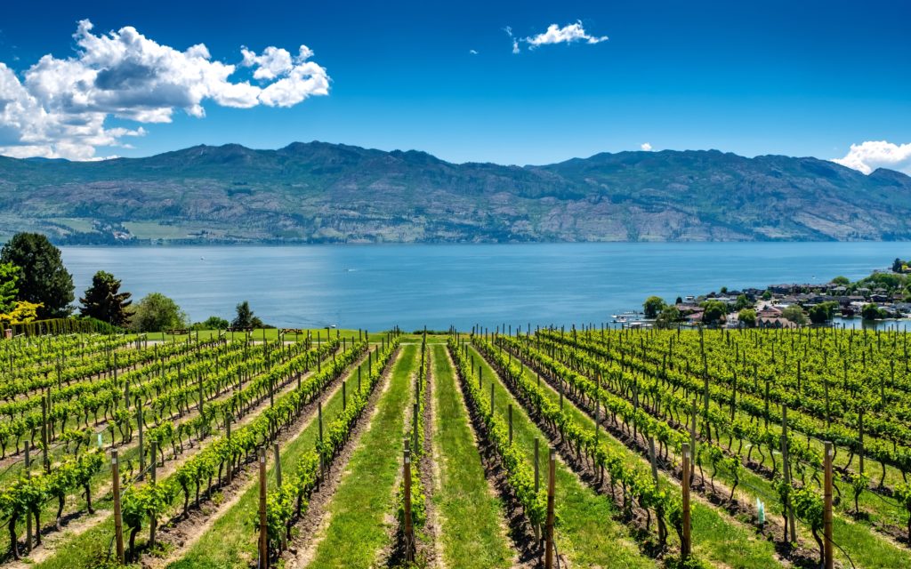 Summer Okanagan Valley