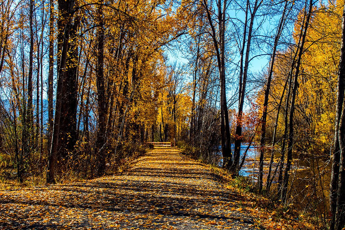 autumn in kelowna